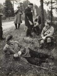 После сказанного