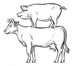 hand drawn cow, pig, chicken. vector illustration