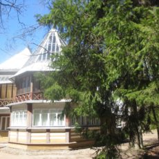 Владимир Маяковский в Репинских пенатах